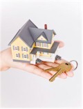 Property Search